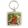 Square Acrylic Keyring - North Carolina Cardinal and Dogwood 