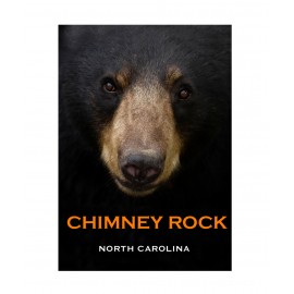 Vertical Metal Magnet - Bear Face Chimney Rock NC Vertical Metal Magnet - Bear Face Chimney Rock NC