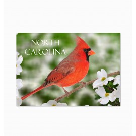 Horizontal Metal Magnet - North Carolina Cardinal Bird on Dogwood Blossom Horizontal Metal Magnet - North Carolina Cardinal Bird on Dogwood Blossom