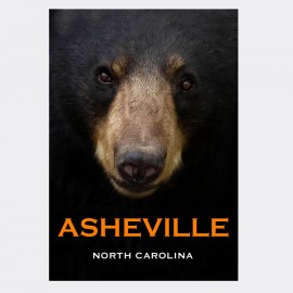 Vertical Metal Magnet - Bear Face Asheville NC Vertical Metal Magnet - Bear Face Asheville NC