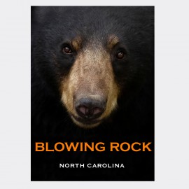 Vertical Metal Magnet - Bear Face Blowing Rock NC Vertical Metal Magnet - Bear Face Blowing Rock NC