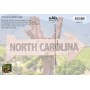 Souvenir Postcard (Pack of 50) - North Carolina Wildlife Photo Collage