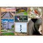 Souvenir Postcard (Pack of 50) - Standard Postcard 4x6 -Welcome to NC Rustic Photo Collage