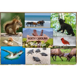 Souvenir Postcard (Pack of 50) - North Carolina Wildlife Photo Collage Souvenir Postcard (Pack of 50) - North Carolina Wildlife Photo Collage