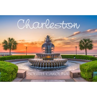 Souvenir Postcard (Pack of 50) - Charleston SC Pinapple Fountain at Waterfront Park Souvenir Postcard (Pack of 50) - Charleston SC Pinapple Fountain at Waterfront Park