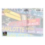 Souvenir Postcard (Pack of 50) - Charlotte sign post The Green