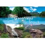 Souvenir Postcard (Pack of 50) - Greetings from Chimney Rock NC
