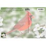 Souvenir Postcard (Pack of 50) - North Carolina Cardinal on Dogwood Blossom