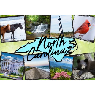 Souvenir Postcard (Pack of 50) - North Carolina Map Block Photo Collage