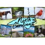 Souvenir Postcard (Pack of 50) - North Carolina Map Block Photo Collage
