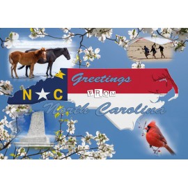 Souvenir Postcard (Pack of 50) - Standard Postcard 4x6 - Greetings from NC Photo Montage Souvenir Postcard (Pack of 50) - Standard Postcard 4x6 - Greetings from NC Photo Montage
