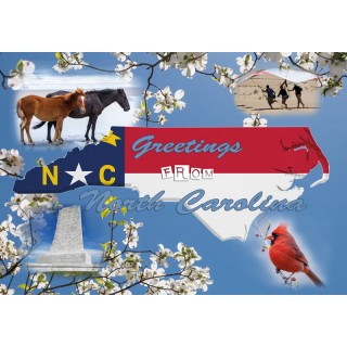 Souvenir Postcard (Pack of 50) - Standard Postcard 4x6 - Greetings from NC Photo Montage
