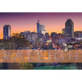 Souvenir Postcard (Pack of 50) - Raleigh North Carolina Autumn Skyline
