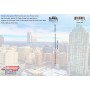 Souvenir Postcard (Pack of 50) - Raleigh Dogwood Skyline with NC Map