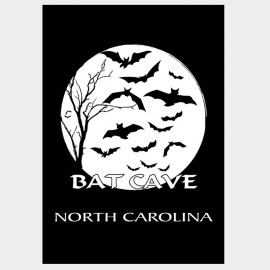 Souvenir Postcard (Pack of 50) - Bat Cave NC Souvenir Postcard (Pack of 50) - Bat Cave NC
