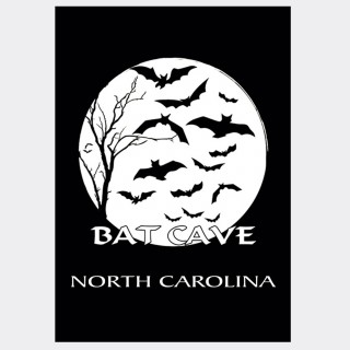 Souvenir Postcard (Pack of 50) - Bat Cave NC Souvenir Postcard (Pack of 50) - Bat Cave NC