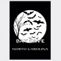 Souvenir Postcard (Pack of 50) - Bat Cave NC