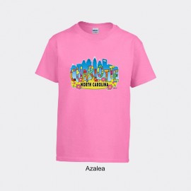 Gildan Youth Dryblend Tee Shirt - Charlotte Art Letters Gildan Youth Dryblend Tee Shirt - Charlotte Art Letters